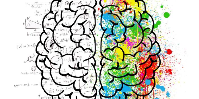 1920x1080 Download Psychology Colorful Brain Hemisphere Digital Art Wallpaper |  Wallpapers.com