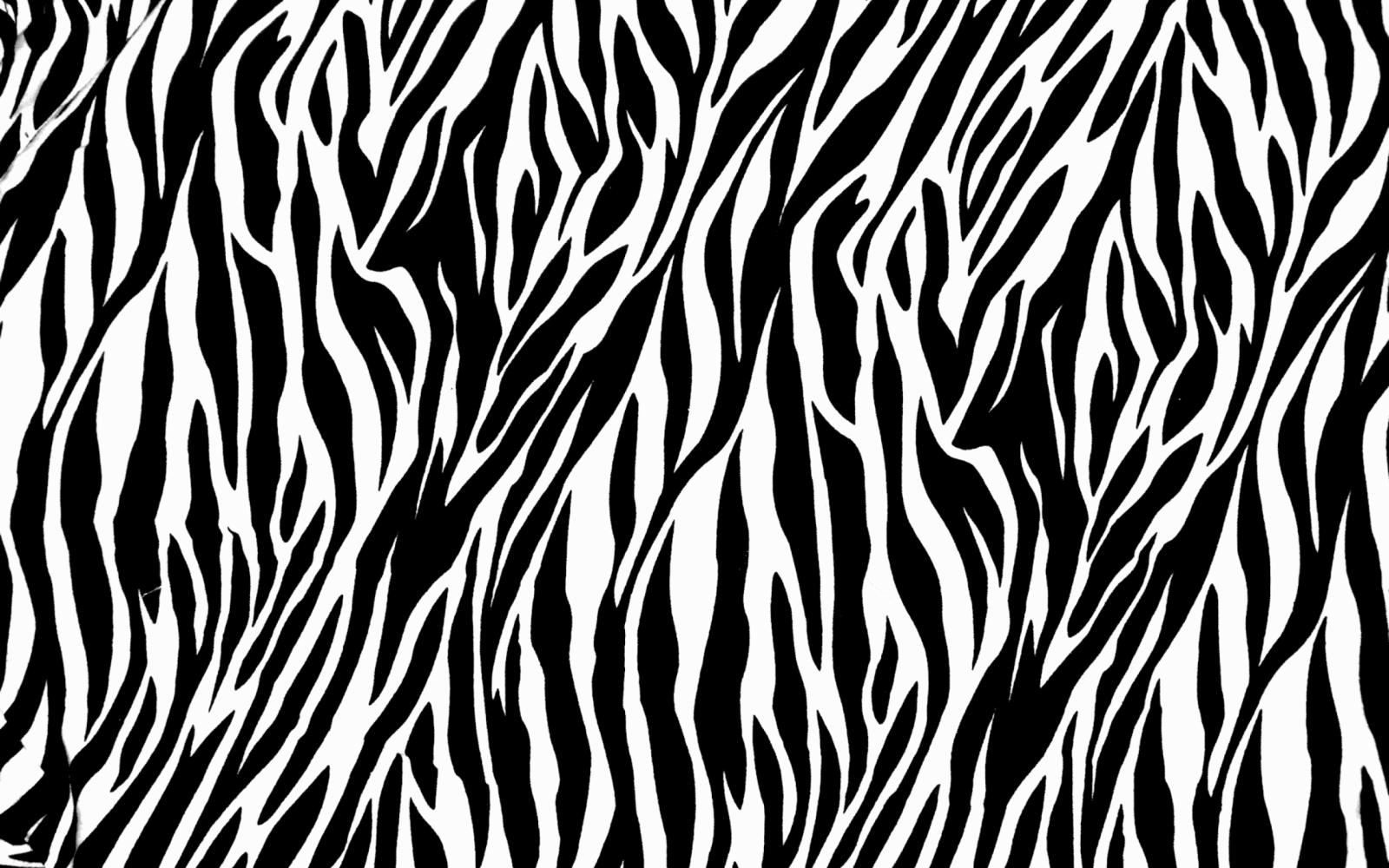 2560x1600 Zebra Print Wallpaper HD - PixelsTalk.Net