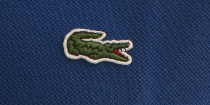 1000x1000 Free download Viewing Gallery For Lacoste Polo Logo [1000x1000] for your  Desktop, Mobile & Tablet | Explore 75+ Polo Logo Wallpaper | Water Polo  Wallpaper, Volkswagen Polo WRC Wallpapers, Polo Wallpaper Background
