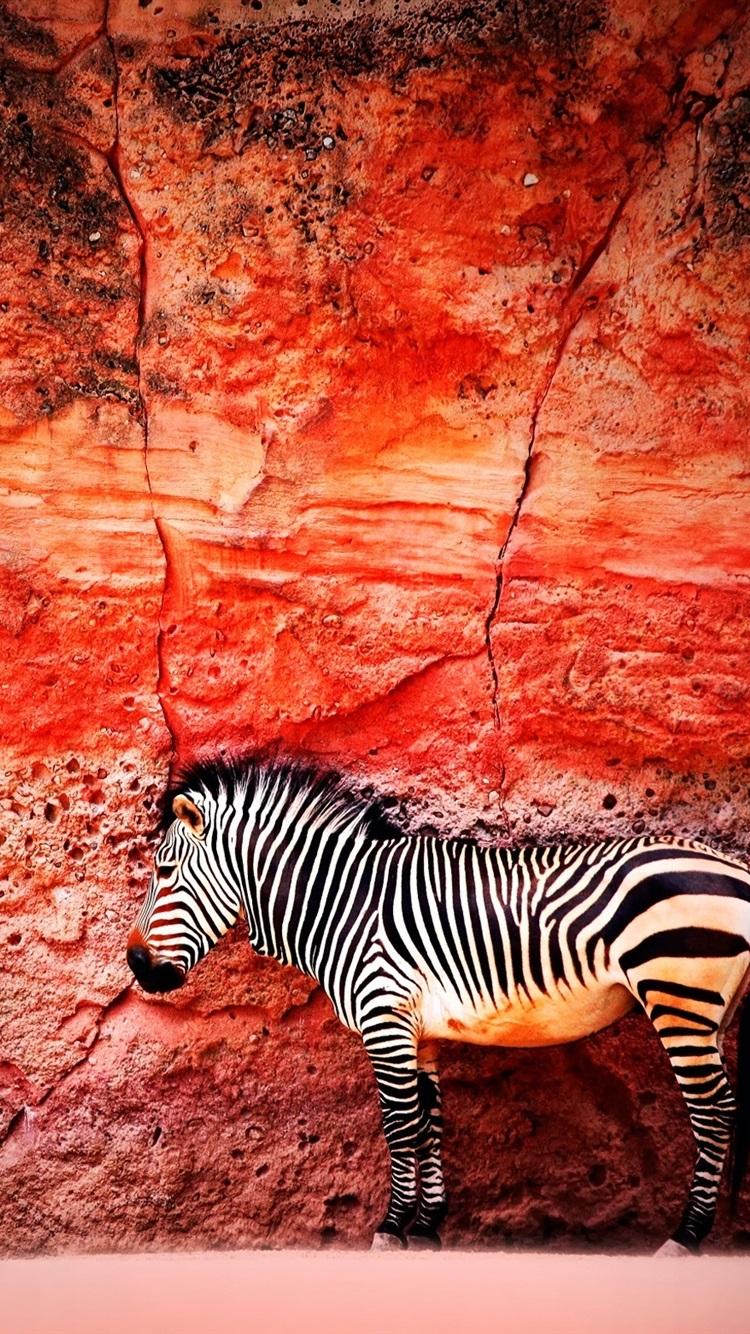 750x1334 Red Zebra iPhone Wallpapers