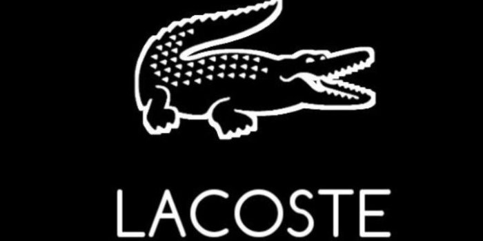 720x1371 Идеи на тему «Lacoste» (110) | теннисные наряды, рабочий стол для ноутбука,  винтажный найк
