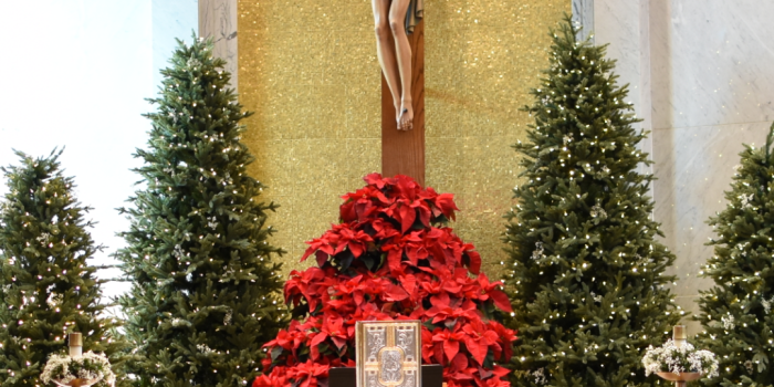 1080x1920 Christmas Phone Wallpapers - Nativity