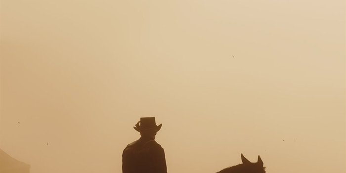 1170x2532 Pin on Red redemption 2