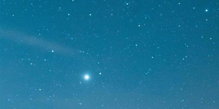 828x1792 Best Anti social social club iPhone 11