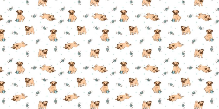 1702x852 Pugs - Wallpaper