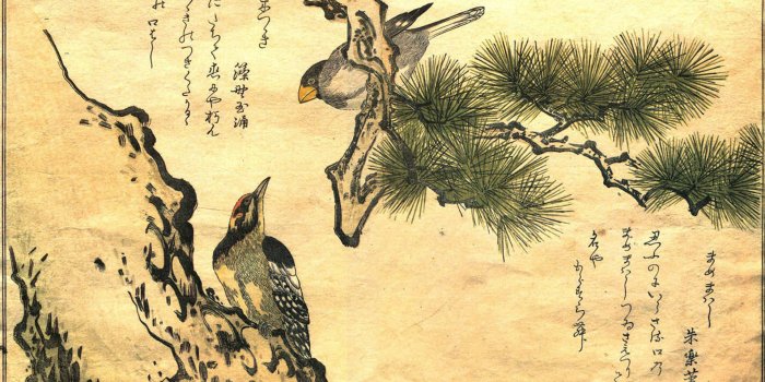 1920x1200 118+ Japanese Art