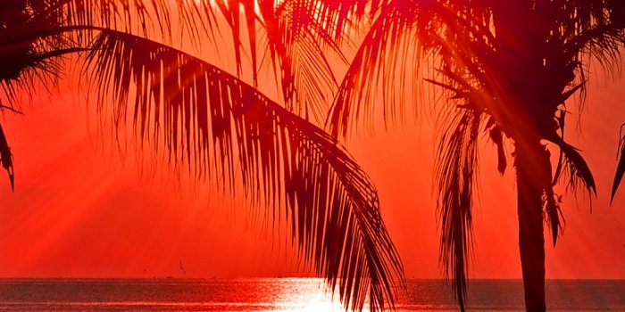 1125x2436 nl75-beach-vacation-summer-night-sunset