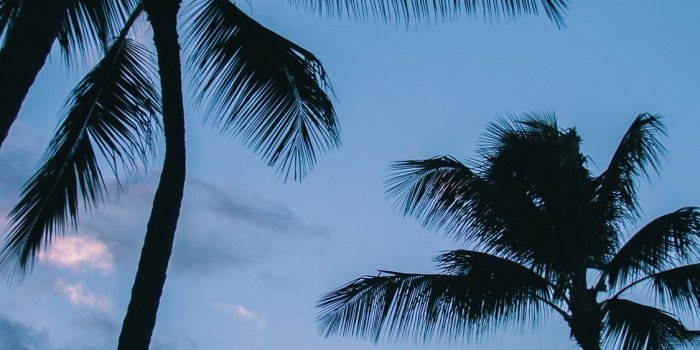 1125x2436 Best Vacation iPhone X HD Wallpapers