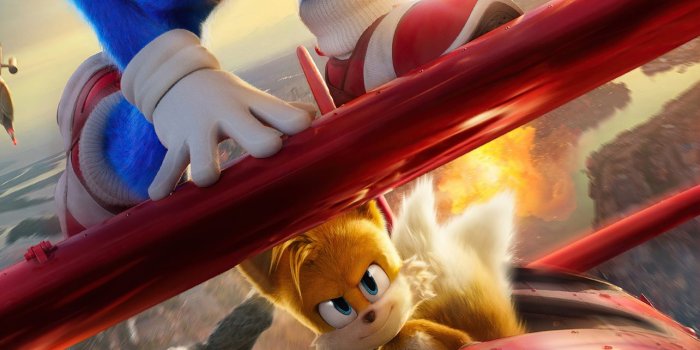 1284x2778 hedgehog iPhone Wallpapers Free Download