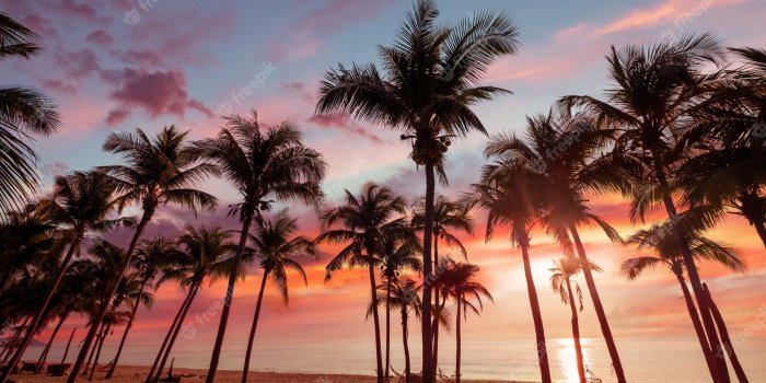 2000x1333 Exotic tropical beach landscape