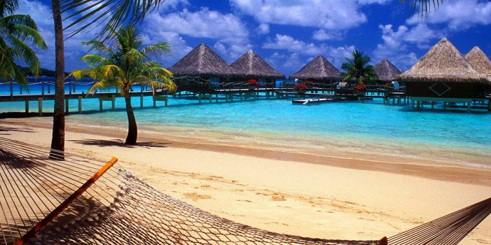 1200x900 Beach, Hammock, Palm Tree wallpaper