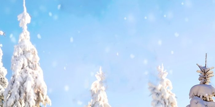 1284x2778 Best Pokemon go iPhone HD Wallpapers