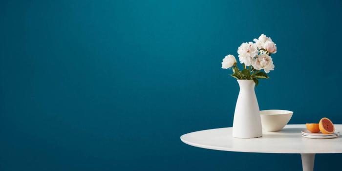 1920x1080 100+] Zoom Wallpapers | Wallpapers.com