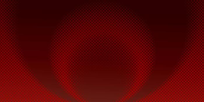 1920x1080 100+] Maroon Wallpapers | Wallpapers.com