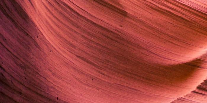 1242x2688 red and maroon wallpaper iPhone 11 Wallpapers Free Download