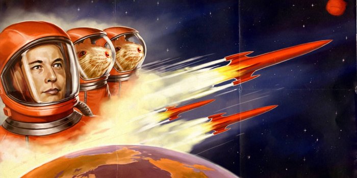1920x1080 Download Elon Musk Space Mice Art Wallpaper | Wallpapers.com