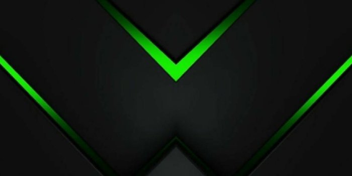 1080x1920 200+] Black And Green Wallpapers | Wallpapers.com