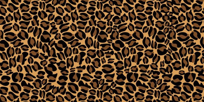 1882x1176 Animal Print Laptop Wallpapers - Top Free Animal Print Laptop Backgrounds -  WallpaperAccess