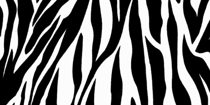 1080x1920 Colorful Leopard Iphone Wallpapers