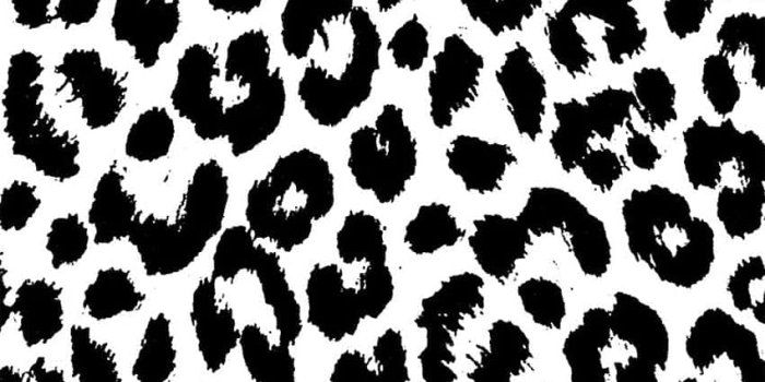 850x1416 Download Purple and white animal print for your iPhone Wallpaper |  Wallpapers.com