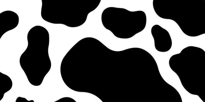 736x1104 Cow Print Wallpaper - Wallpaper Sun