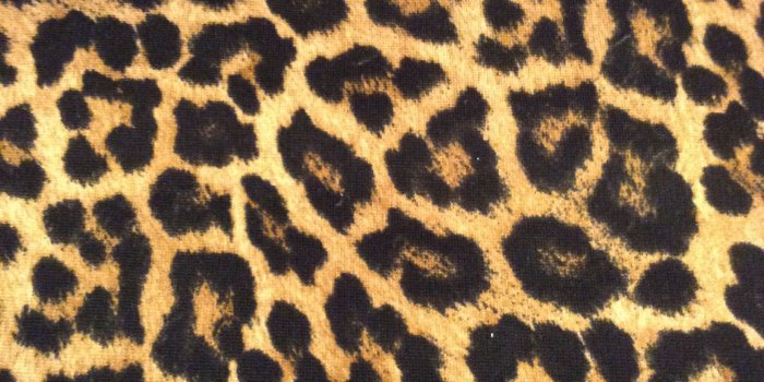 1936x2592 Leopard Pattern Wallpapers - Top Free Leopard Pattern Backgrounds -  WallpaperAccess