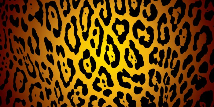 2624x1867 48+] Leopard Print Wallpapers for Desktop - WallpaperSafari