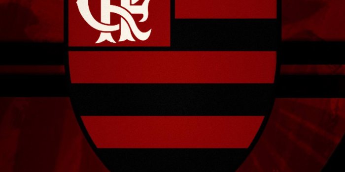 1284x2778 Best Flamengo iPhone HD Wallpapers - iLikeWallpaper