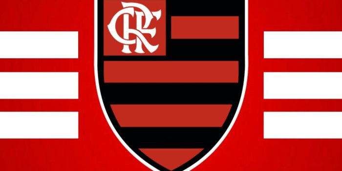 1080x1920 Flamengo Wallpaper / Papel de Parede | Fotos de flamengo, Flamengo wallpaper,  Time do flamengo
