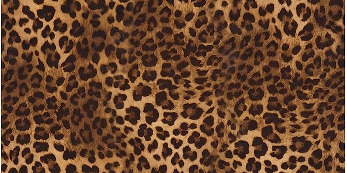 883x1000 Birwall Leopard Grain Peel and Stick Wallpaper Self Adhesive Wallpaper Wall  Decal Contact Paper (48.4 Square Ft) - - Amazon.com