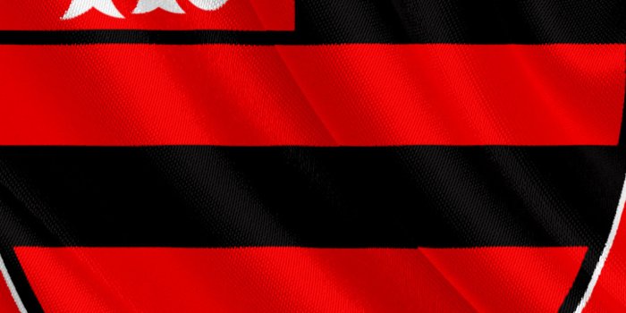 1080x2340 Clube de Regatas do Flamengo Phone Wallpaper