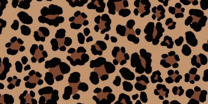 857x1200 Leopard Print Glam 1' Poster by Anita's & Bella's Art | Displate | Cheetah print  wallpaper, Leopard print wallpaper, Leopard print background