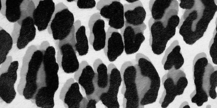 1080x1920 13 Animal Print iPhone Wallpapers - Wallpaperboat