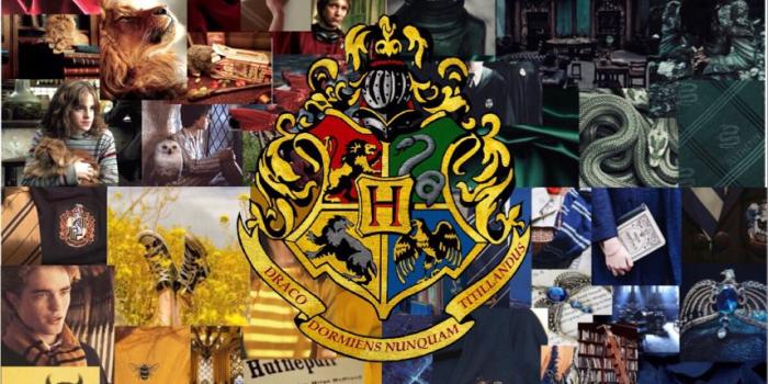 857x1200 Hogwarts houses | Harry potter wallpaper, Harry potter, Harry potter  aesthetic