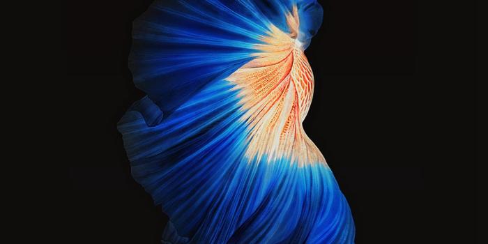 1080x1920 Dark Blue iPhone Wallpaper | iDrop News