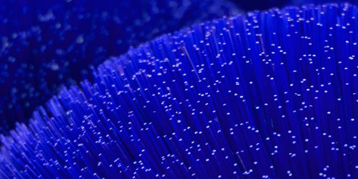 1125x2436 iPhoneXpapers.com | iPhone X wallpaper | vz39-light-dot-digital-blue -line-pattern-background