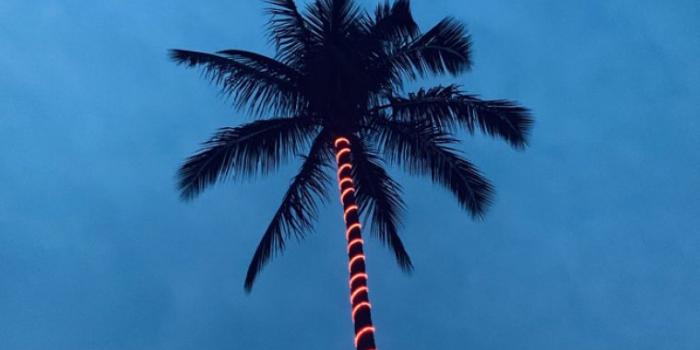 759x1250 Evening blue sky iPhone wallpaper - Idea Wallpapers , iPhone Wallpapers,Color  Schemes