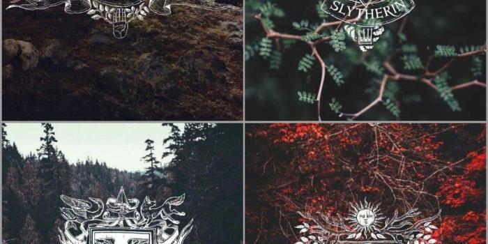 1280x1920 Download The Hogwarts Houses - Harry Potter's Magical Universe Wallpaper |  Wallpapers.com