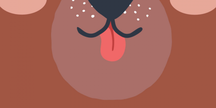 1242x2208 Cute Bear Wallpaper 4K, Cute costume, Smiley bear, #10099