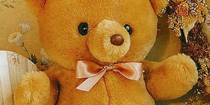 1080x1920 22 Teddy Bear iPhone Wallpapers - Wallpaperboat