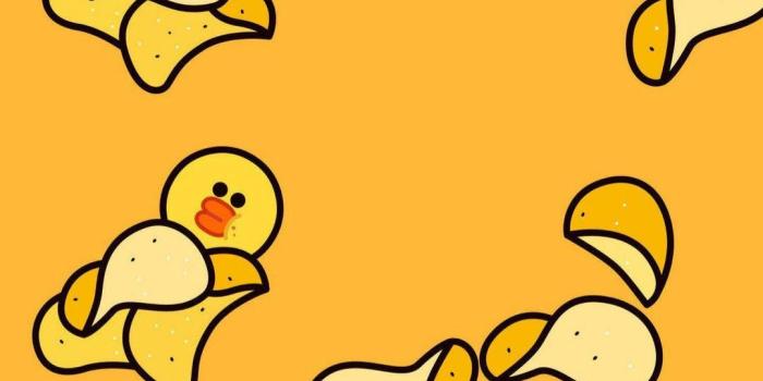 1080x1920 100+] Korean Bear Wallpapers | Wallpapers.com