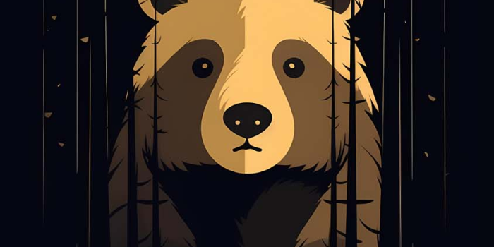 844x1500 Cute Bear Wallpaper Download | MOONAZ