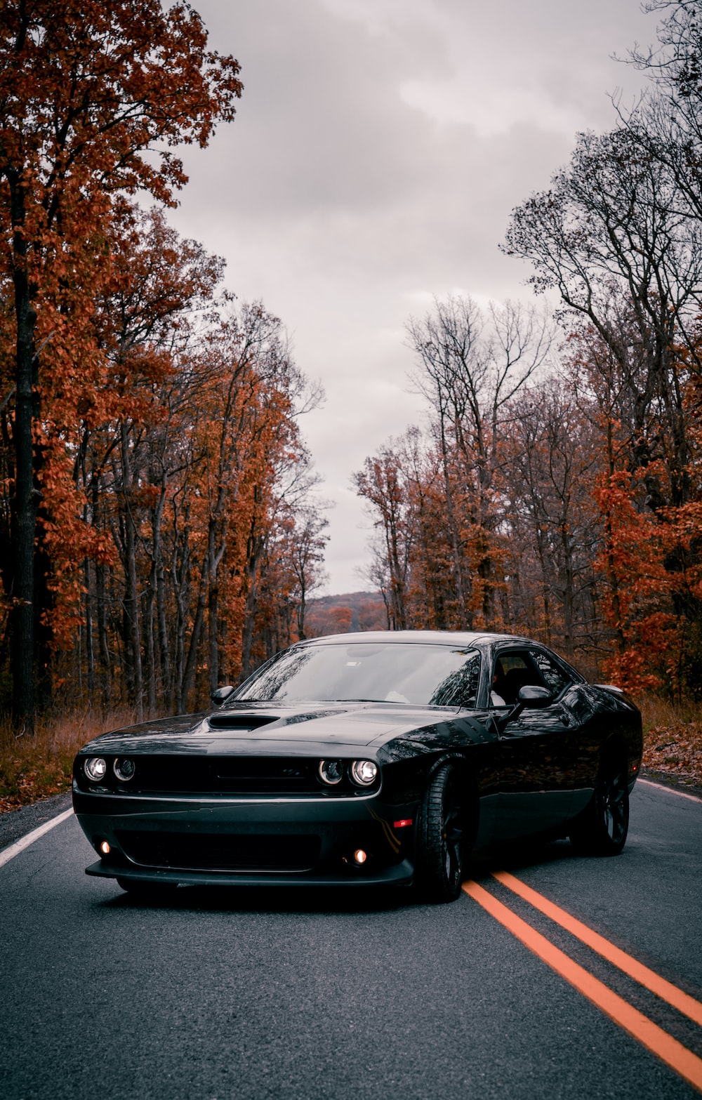 1000x1567 1000+ Dodge Challenger Pictures | Download Free Images on Unsplash