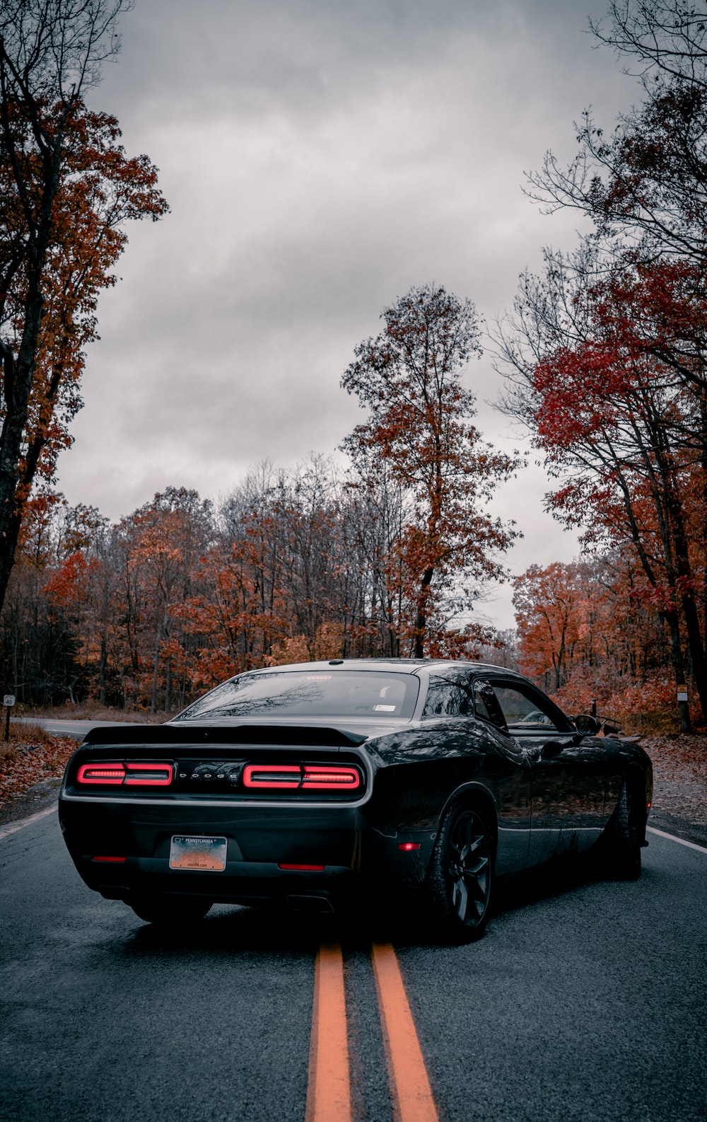 1000x1586 1000+ Dodge Challenger Pictures | Download Free Images on Unsplash
