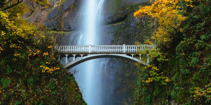 1000x1400 Waterfall Wallpapers: Free HD Download [500+ HQ] | Unsplash