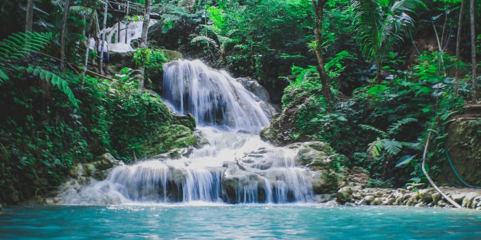 3456x4320 8,000+ Best Waterfall Photos · 100% Free Download · Pexels Stock Photos
