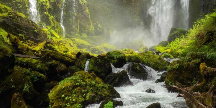 2048x2560 8,000+ Best Waterfall Photos · 100% Free Download · Pexels Stock Photos