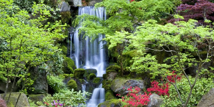 2133x3200 Garden Waterfalls Wall Mural by Brian Jannsen | Waterfall Wallpaper -  Murals Your Way