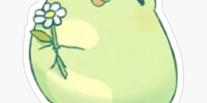 1000x1000 cute frog wallpaper