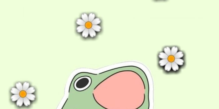 720x1184 Free download Ladykim on Frogs in 2021 Frog wallpaper Cute patterns  [720x1184] for your Desktop, Mobile & Tablet | Explore 24+ Cartoon Frog  iPhone Wallpapers | Cartoon Frog Wallpaper, Frog Backgrounds, Frog Wallpaper